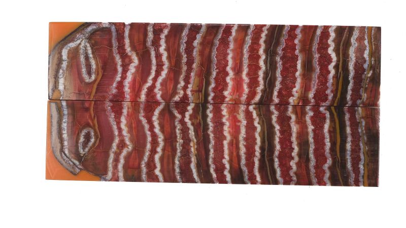 Manche de molaire de mammouth stabilisée ROUGE